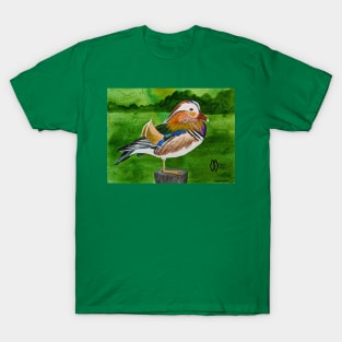 Mandarin duck in the marsh T-Shirt